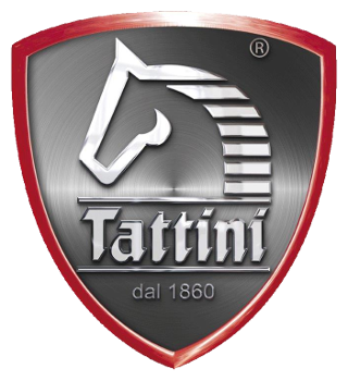 Tattini