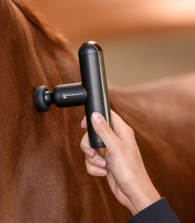 Appareil de massage PocketRelax