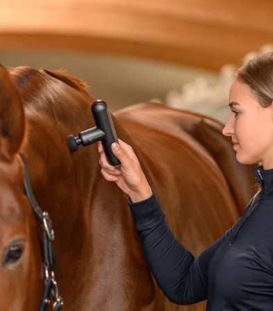 Appareil de massage PocketRelax