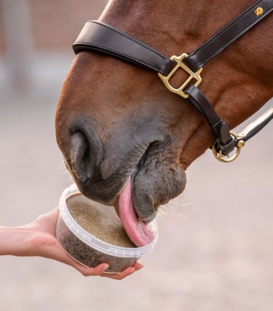 Bac &agrave; l&eacute;cher