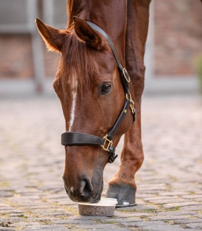 Bac &agrave; l&eacute;cher
