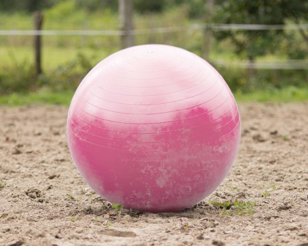 Ballon de jeu rose