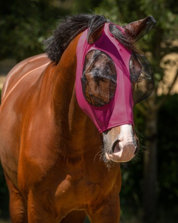 Bonnet anti mouche 