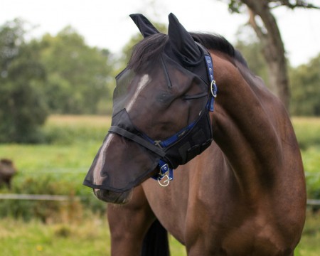 Bonnet anti mouche avec clapet de nez détachable