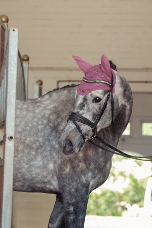 Bonnet Crystal Héritage 25/26