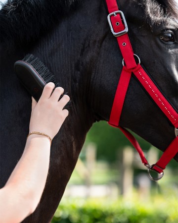 Bouchon Oakleigh SS26