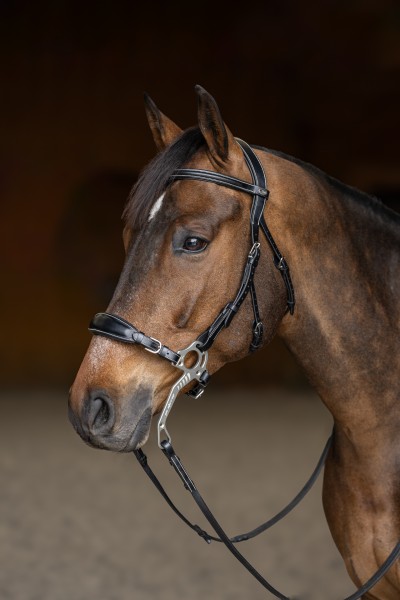 Bridon \ Hackamore\ 