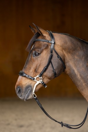 Bridon \ Hackamore\ 