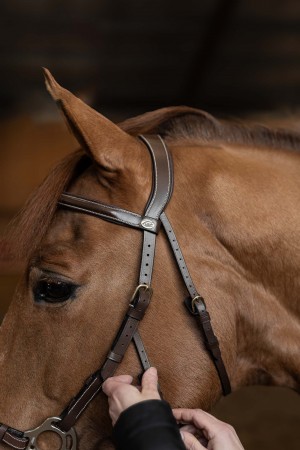 Bridon \ Hackamore\ 