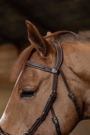 Bridon \ Hackamore\ 