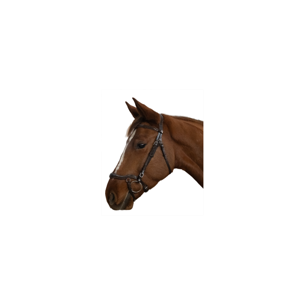 Bridon anatomique Cayman