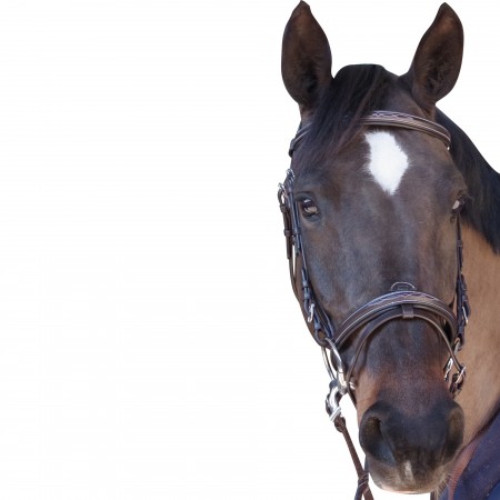 Bridon Surpiqu&eacute;