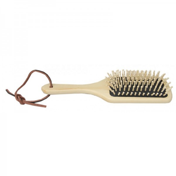 Brosse  crins Borstiq