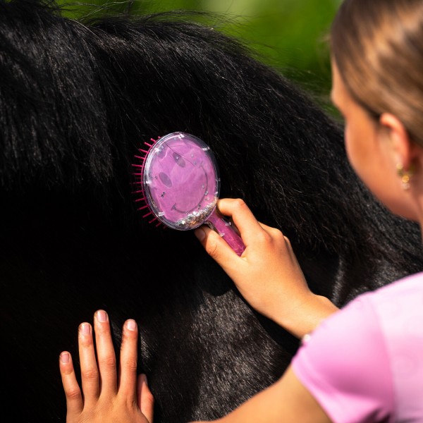 Brosse � crins Rosalynn SS26