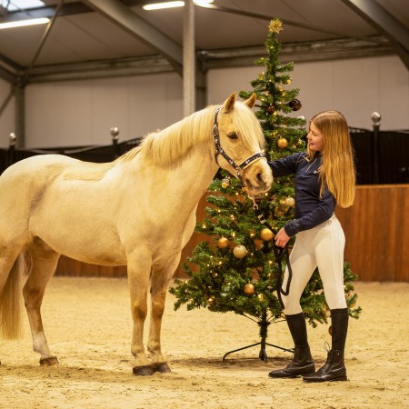 Chaussettes de Noël