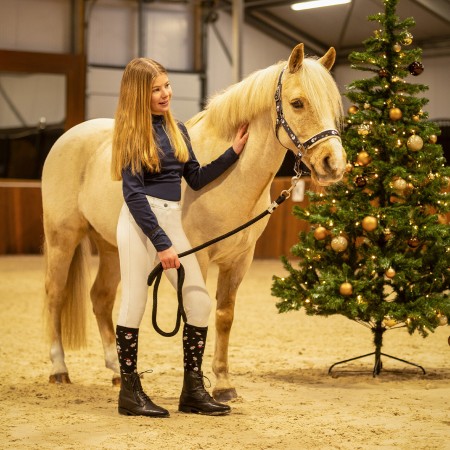 Chaussettes de Noël