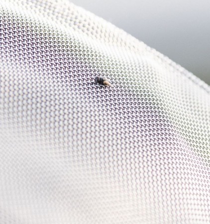 Chemise anti-mouches Protector Fieldsafe Plus