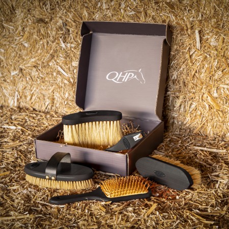 Coffret de pansage Royal