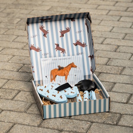 Coffret de pansage Stable Buddy