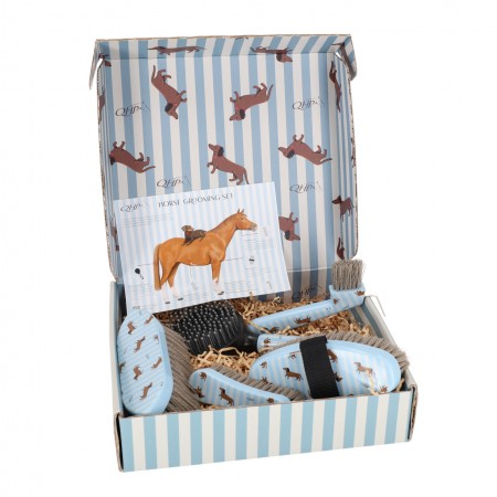 Coffret de pansage Stable Buddy