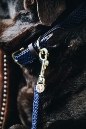 Collier pour chien en nylon tressé