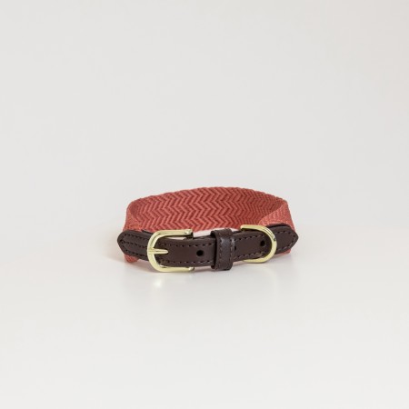 Collier pour chien Jacquard