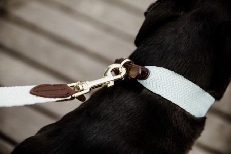 Collier pour chien Jacquard