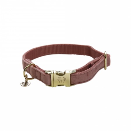 Collier pour chien Velvet