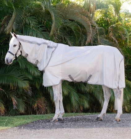 Couvertures - Couvre reins pour chevaux
