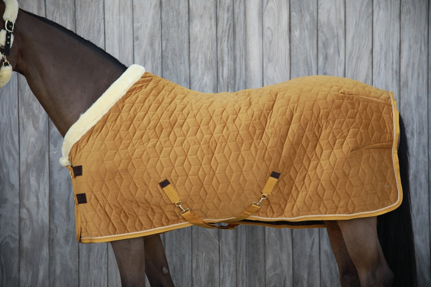 Kentucky Horsewear - Couverture de présentation velvet émeraude 160g