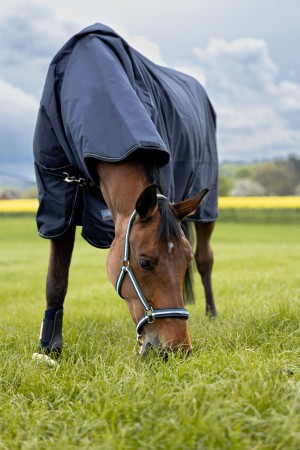 Couverture Omega Fleece