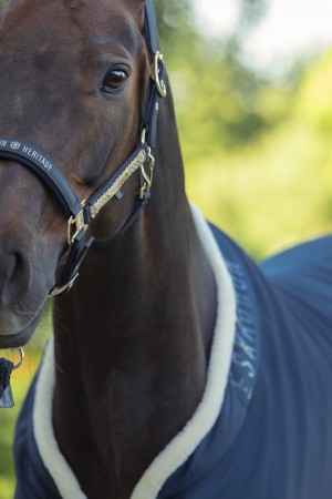 Couverture Polaire Aerial Jersey Heritage 25/26