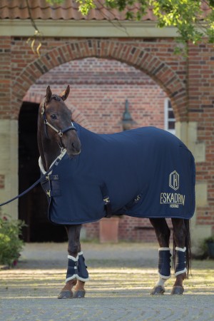 Couverture Polaire Aerial Jersey Heritage 25/26