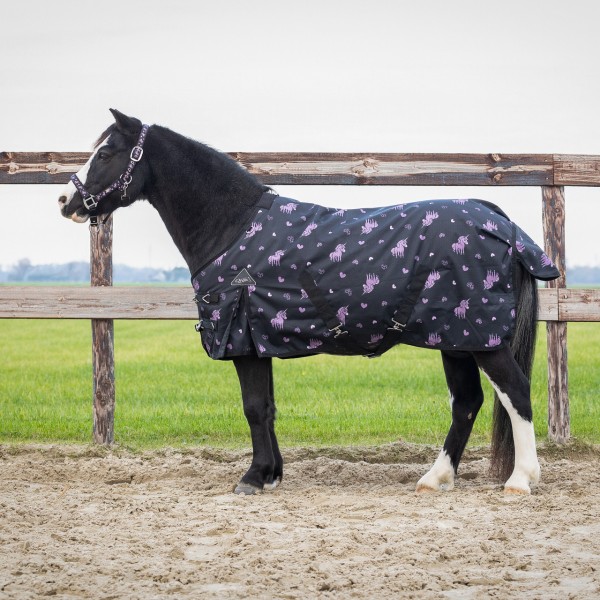 Couverture turnout Lize 100g 600D