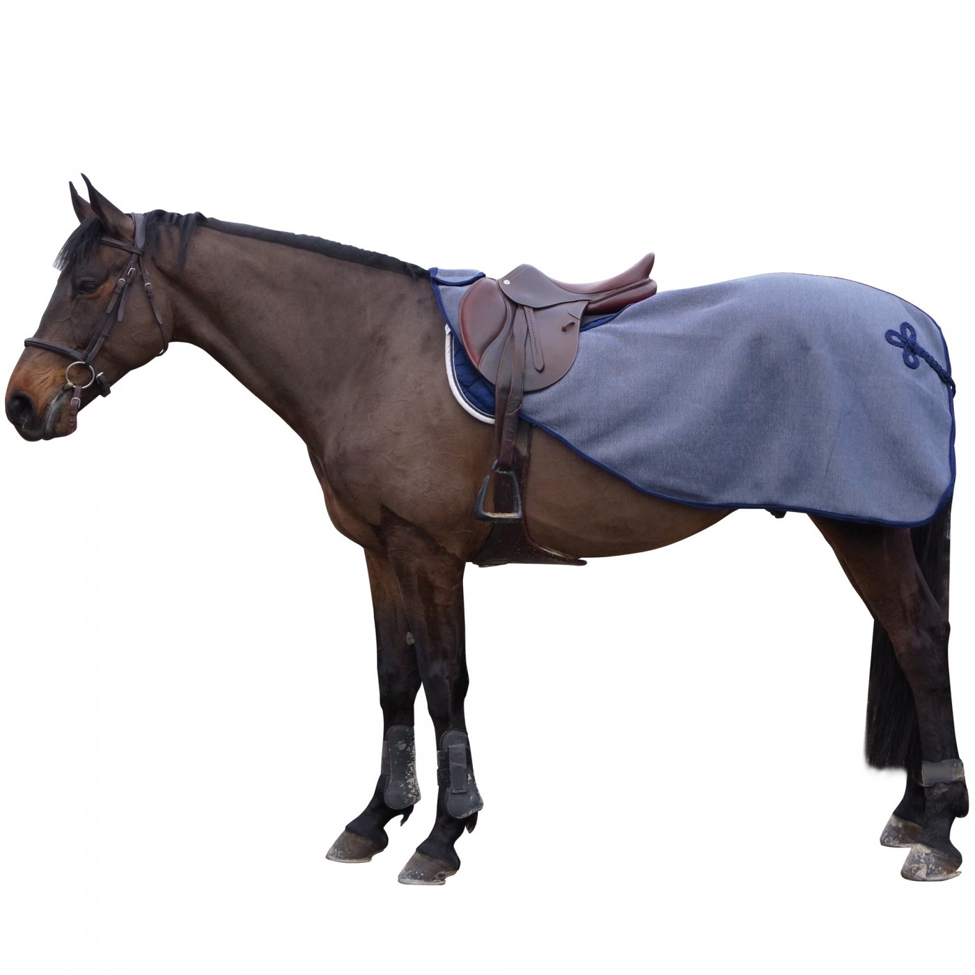 Sangle anatomique pour cheval Canter