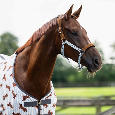 Duo licol est longe Buddy SS26