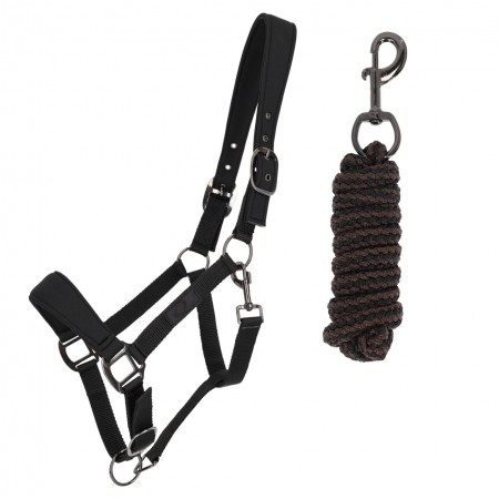 Duo licol et longe Avenna FW26