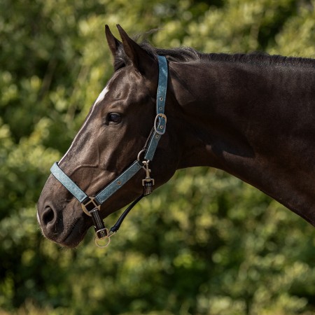 Duo licol et longe collection SS26