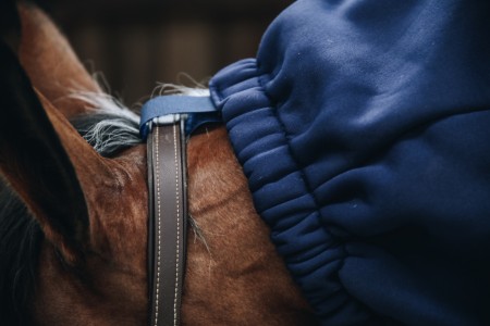 Echarpe polaire pour chevaux