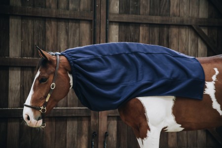 Echarpe polaire pour chevaux