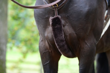 Fourreau de collier de chasse