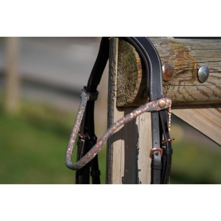 Frontal disco à pression