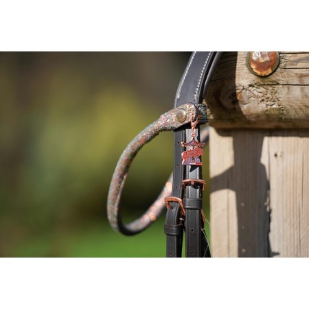 Frontal disco à pression