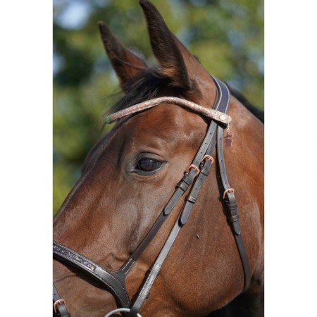 Frontal disco à pression