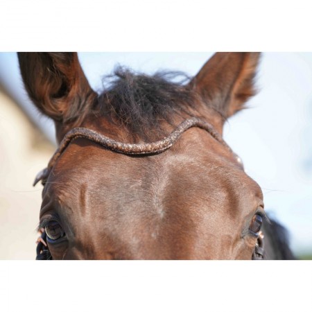 Frontal disco à pression