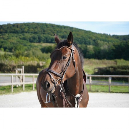 Frontal disco à pression