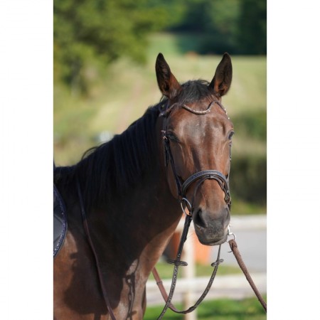 Frontal disco à pression