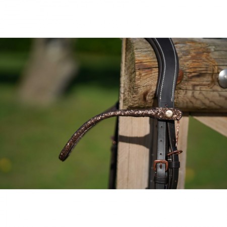 Frontal disco à pression