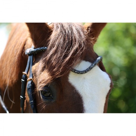 Frontal disco à pression