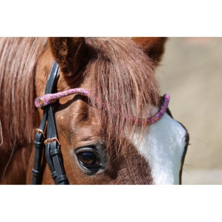 Frontal disco à pression